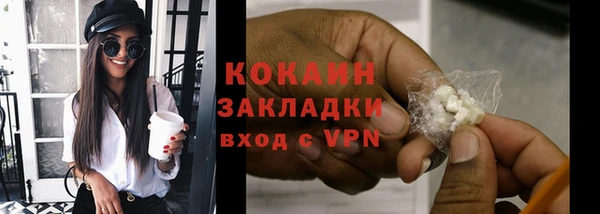 ГАЛЛЮЦИНОГЕННЫЕ ГРИБЫ Арсеньев