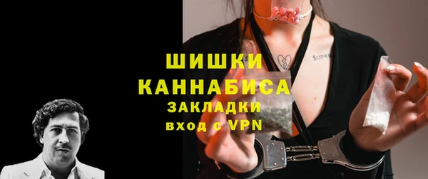 ГАЛЛЮЦИНОГЕННЫЕ ГРИБЫ Арсеньев