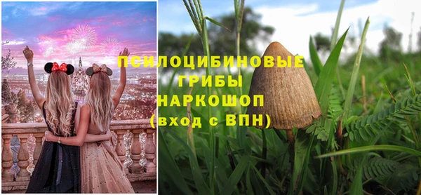 ГАЛЛЮЦИНОГЕННЫЕ ГРИБЫ Арсеньев