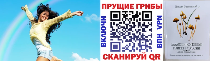 Псилоцибиновые грибы Psilocybine cubensis  как найти наркотики  Оха 