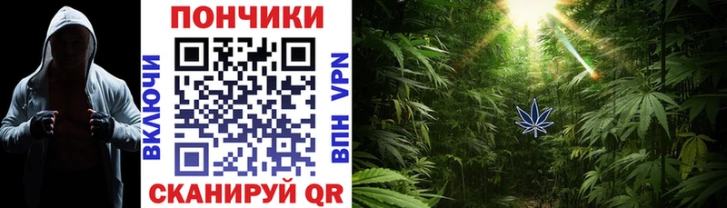 сколько стоит  Оха  Каннабис SATIVA & INDICA 